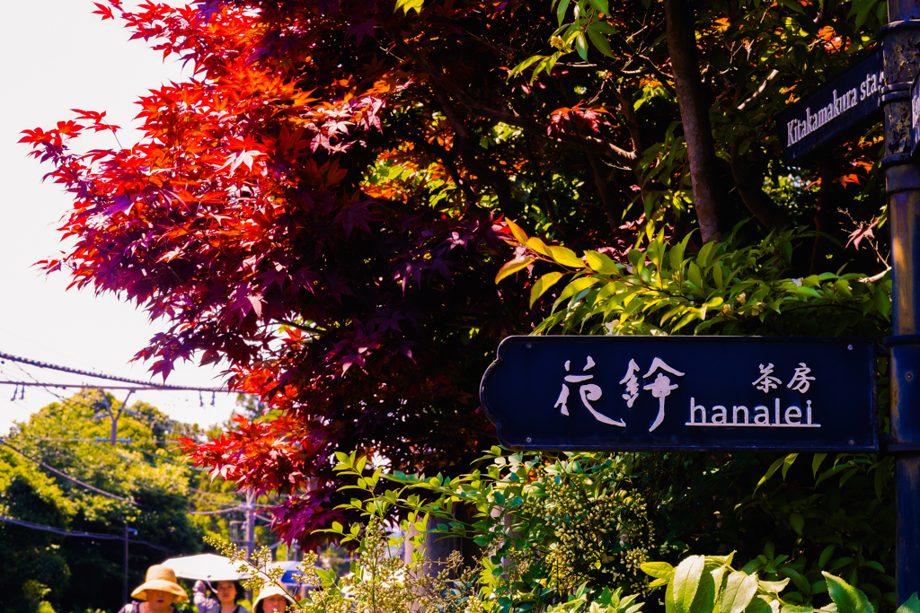 20240614 hanalei