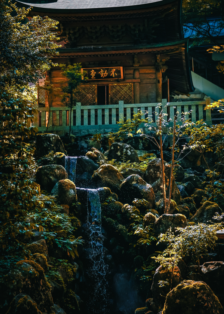 20240609 大雄山最乗寺 清流不動尊