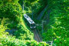 20240721 東北本線（松島～陸前浜田間）