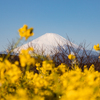 20230211 二宮吾妻山からの富士山