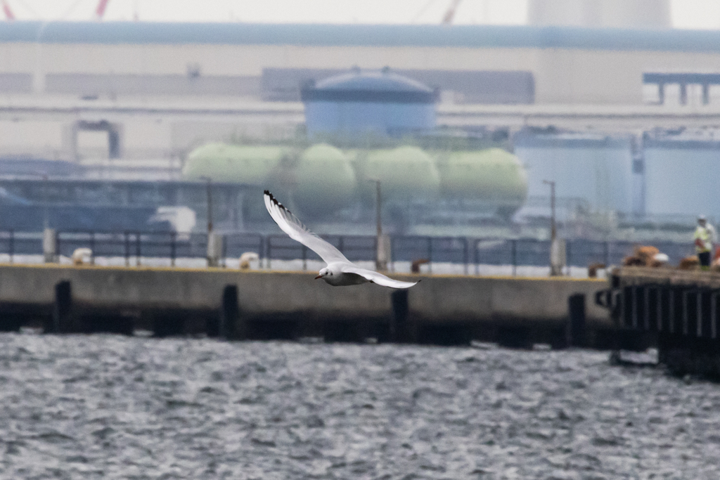 20221120 フォトマスター検定受験の日に③