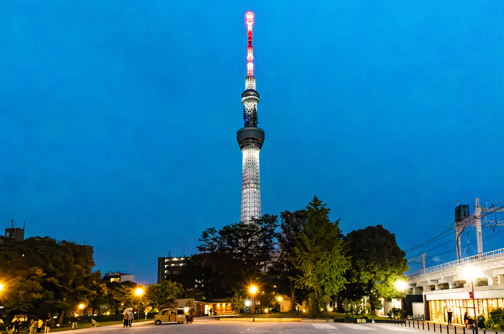 20231008 隅田公園（東京ミズマチ前）