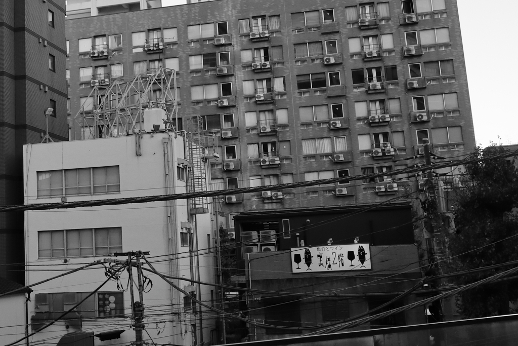 20220928YOKOHAMA_ウラヨコ