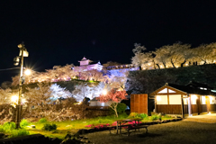 20230331 津山さくらまつり①