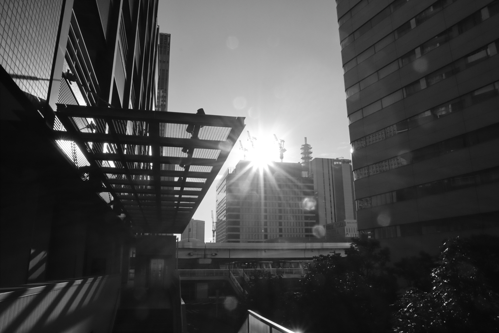 20220928YOKOHAMA_谷間の光芒