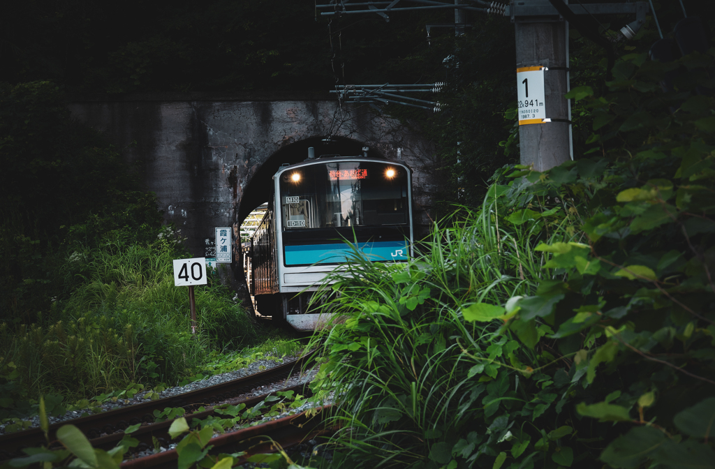 20240721 仙石線（松島海岸駅付近）
