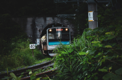 20240721 仙石線（松島海岸駅付近）
