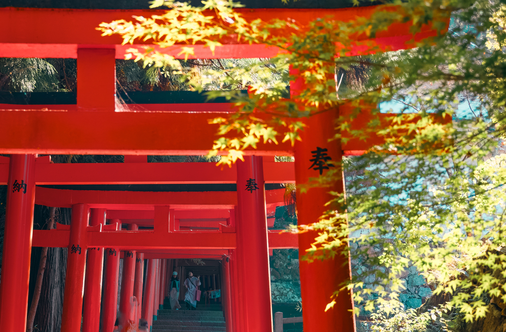 20231105 有子山稲荷神社参道