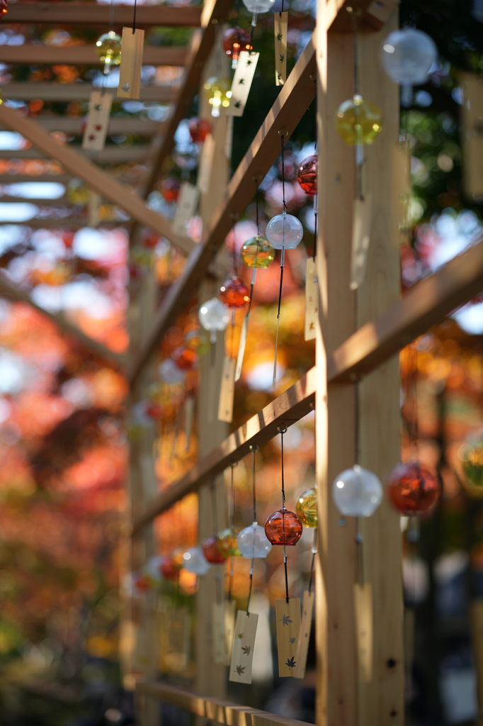 紅葉風鈴
