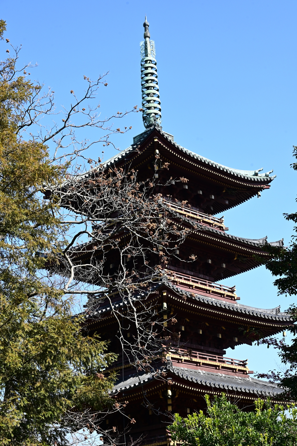 上野の冬空と五重塔