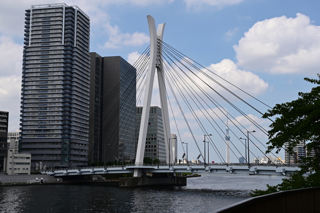 佃島中央大橋