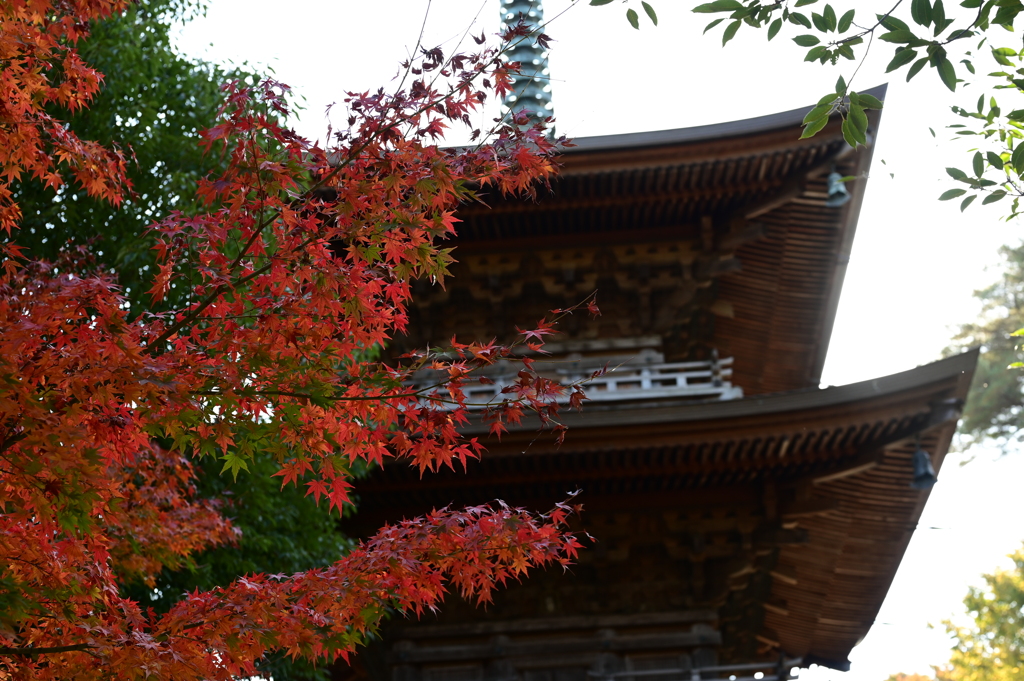 豪徳寺の三重塔