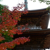 豪徳寺の三重塔