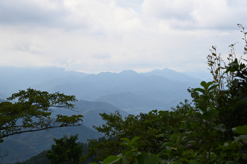 高尾山の山頂から