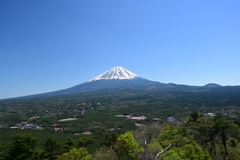 紅葉台からの富士３