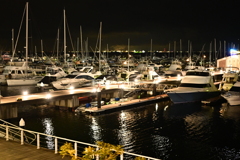 Harbor Lights