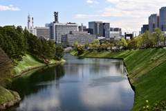 皇居お堀から