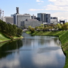 皇居お堀から