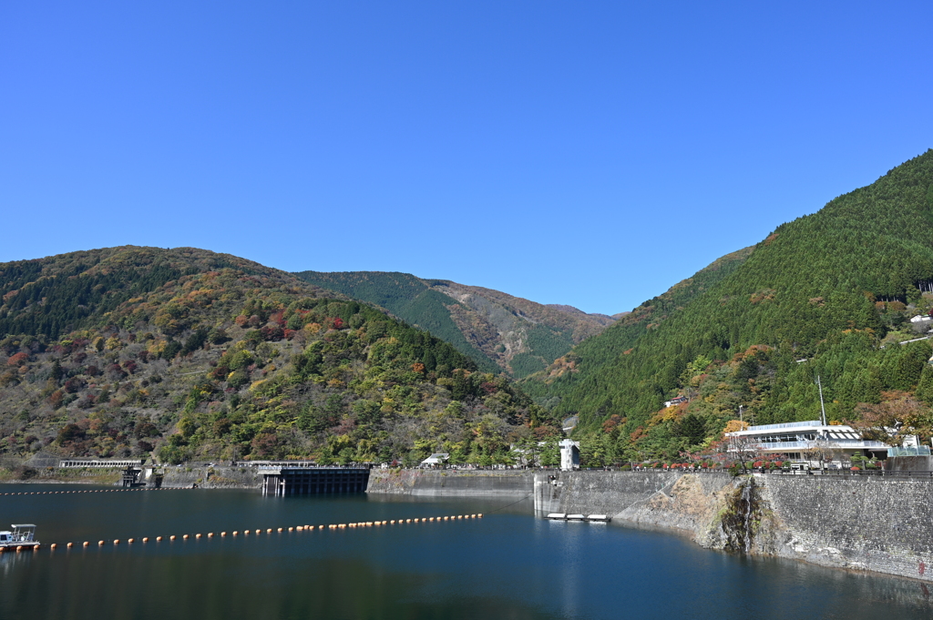 奥多摩の色づき始め