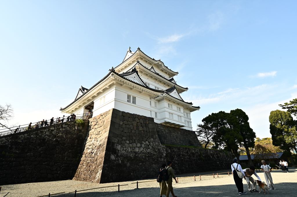 小田原城 本丸