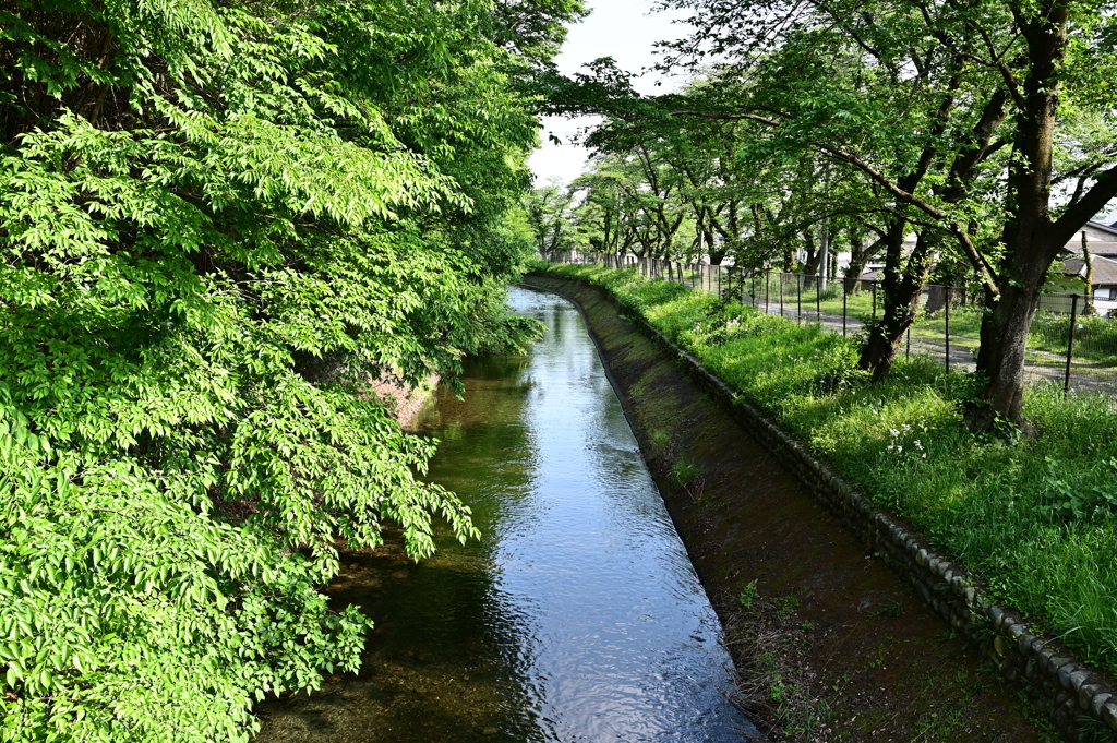 玉川上水（福生）