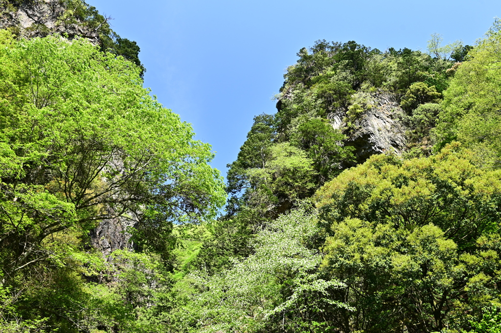 神戸岩