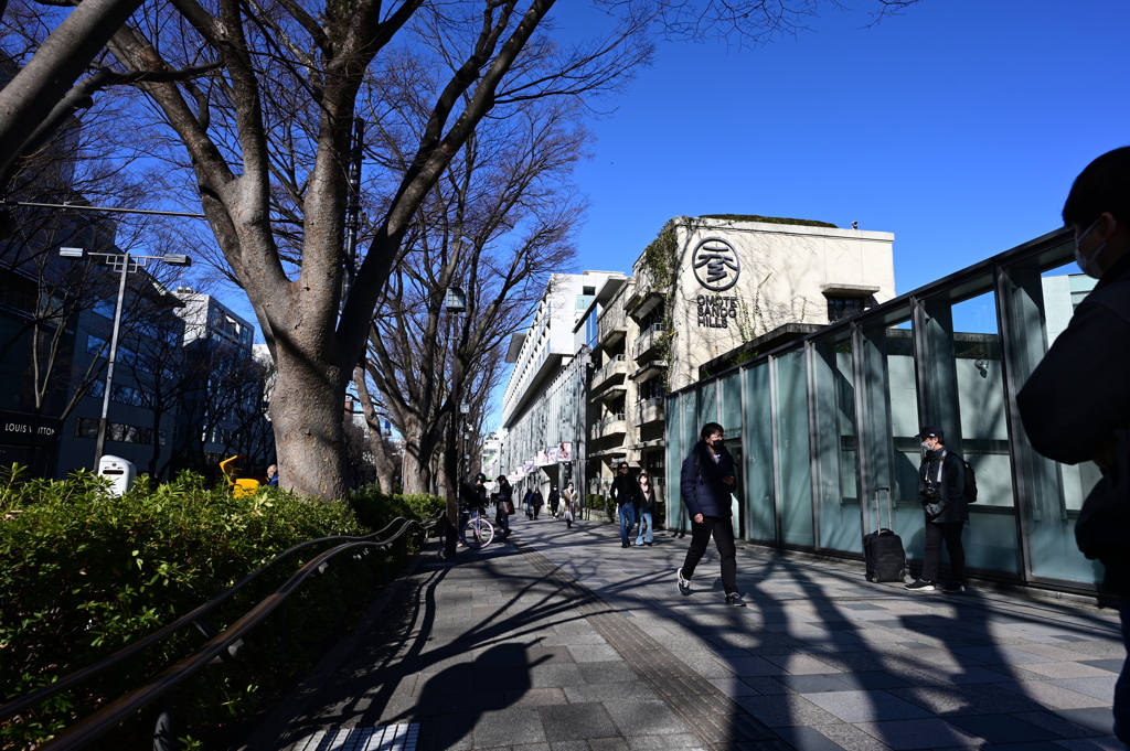 表参道ヒルズ