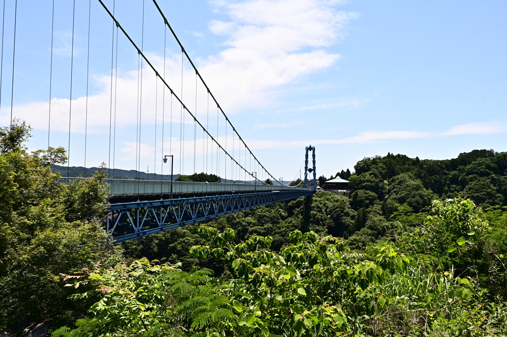 竜神大吊橋 1