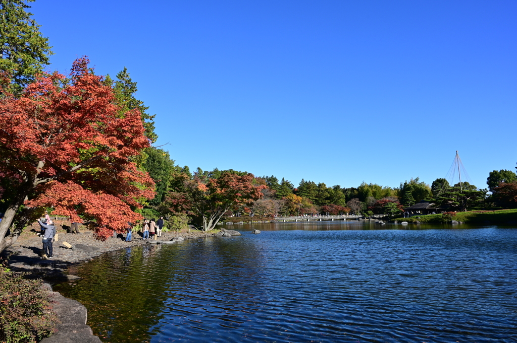 池辺の紅葉