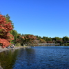 池辺の紅葉