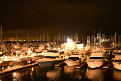 Harbor Lights