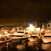 Harbor Lights