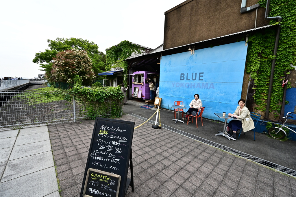 BLUE BLUE YOKOHAMA