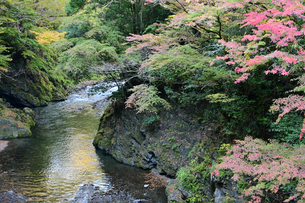 氷川渓谷