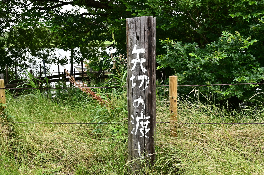 矢切の渡し