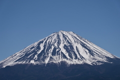 紅葉台からの富士１
