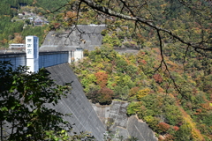 小河内ダムの紅葉