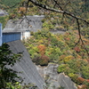 小河内ダムの紅葉