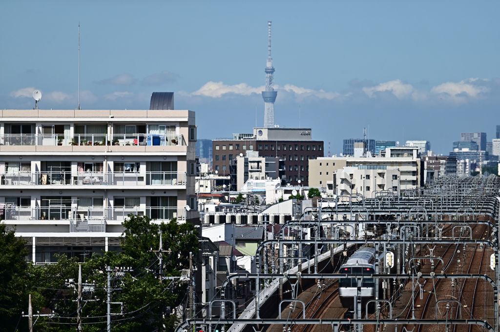 スカイツリーと小田急線