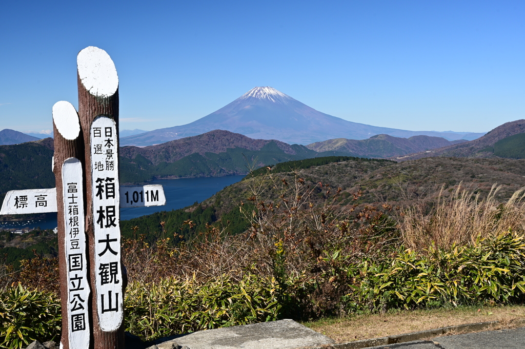 大観山からの富士