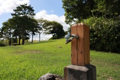 公園の水場