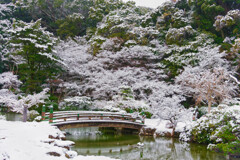 雪景色