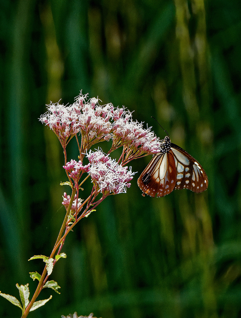 南下中の立ち寄り