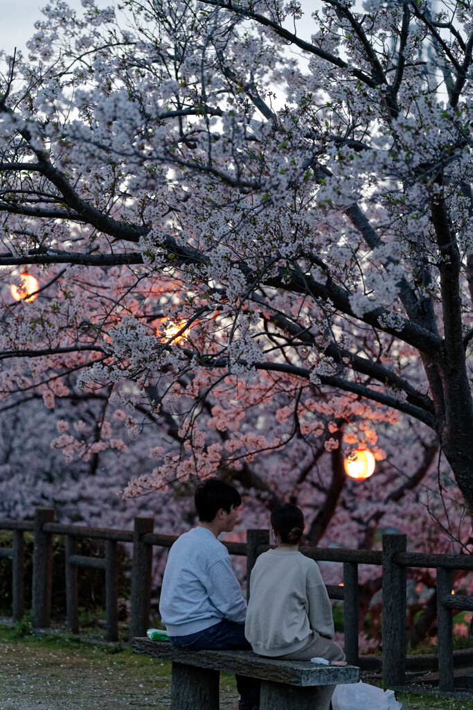 夕暮れ時