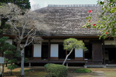 茅葺と椿