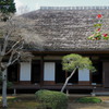 茅葺と椿