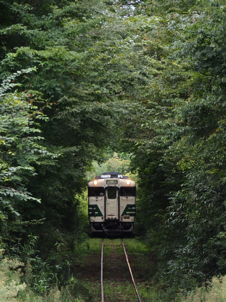 小湊鉄道キハ40