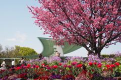 春の公園