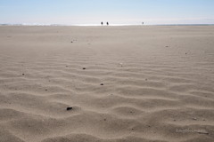 海へ・・・