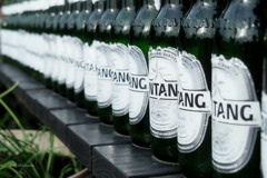 BINTANG